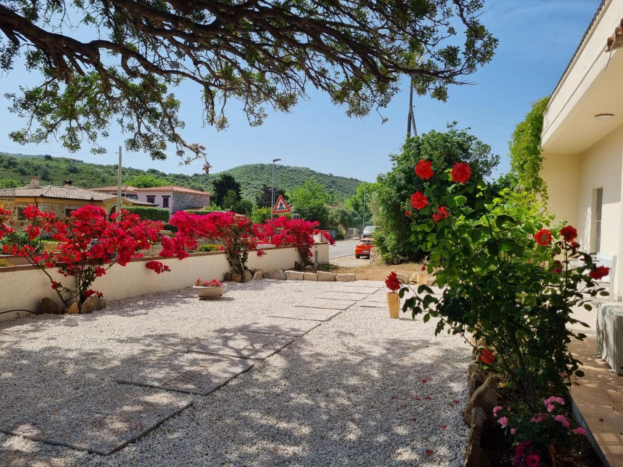 Apartamento Stazzo San Teodoro Piscina Condivisa Exterior foto